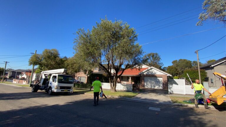 man cleaning up around a tree